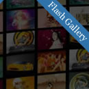 10 Sleek and Professional Flash Image Gallery Tutorials