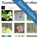 20 Professional jQuery Image Gallery Plugins