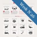 Weekly Web Design and Development Inspiration – N.26