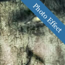 25 Advanced Photo Effects and Techniques with Photoshop