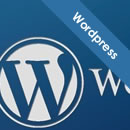 Effective Beginner Tips for Writing over WordPress CMS