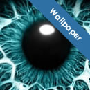 60 Beautiful High Res Desktop Wallpapers