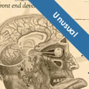 30 Highly Unusual Web Designs