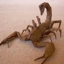 Incredible Examples of Origami Paper Art