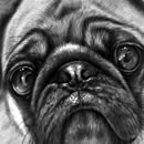 30 Realistic Pencil Drawings