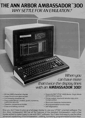 AMB 300