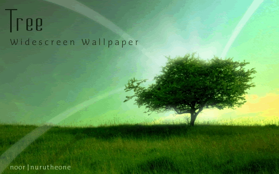 Cool, Smooth and Relaxing Wallpaper