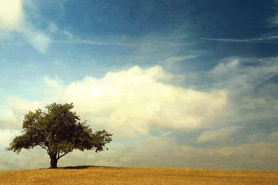 Cool, Smooth and Relaxing Wallpaper