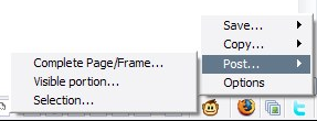 Wordpress Firefox Extensions