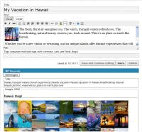 Wordpress Flickr Plugin