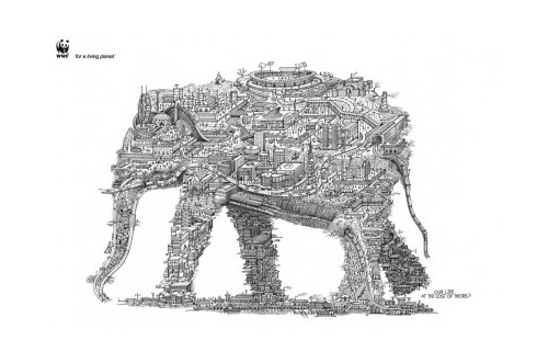 Inspiring and Creative Ads from the WWF