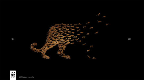 Inspiring and Creative Ads from the WWF