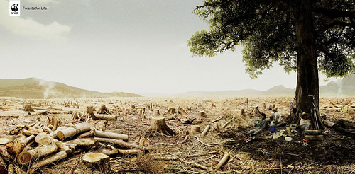 Inspiring and Creative Ads from the WWF