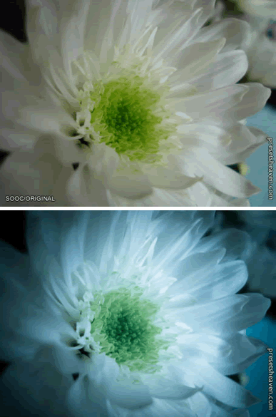 Lightroom Presets