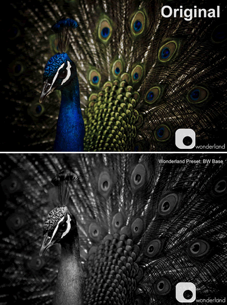Lightroom Presets