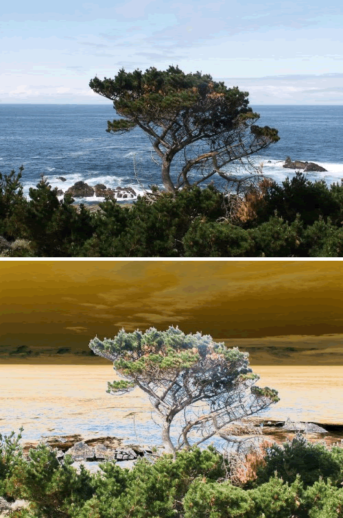 Lightroom Presets
