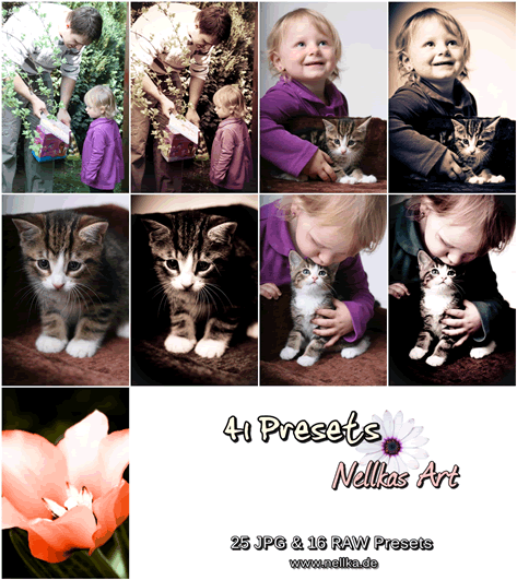 Lightroom Presets