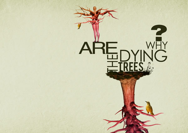 Typography Wallpaper