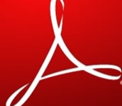 Windows Mobile Applications