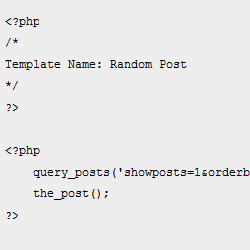 Wordpress and jQuery