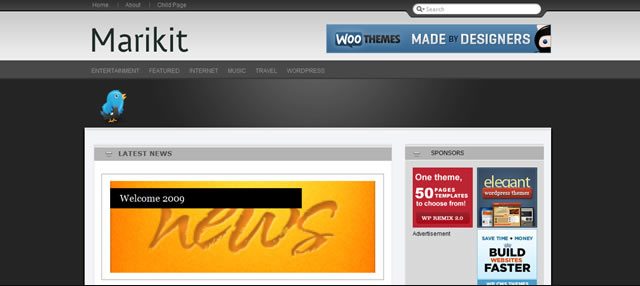Wordpress Theme