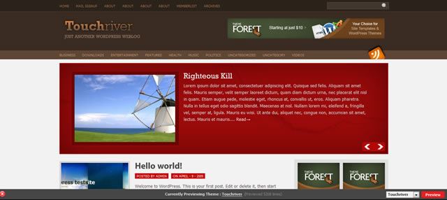 Wordpress Theme