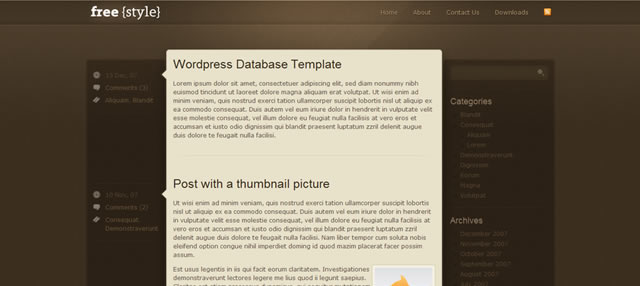 Wordpress Theme