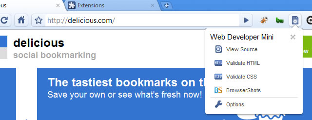 Web Developer Mini Google Chrome Developer Extension