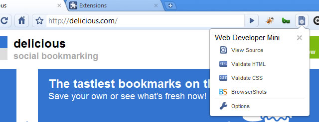 Web Developer Mini Google Chrome Developer Extension