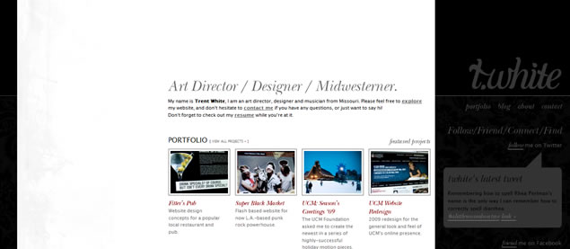 Trent White - Awesome Blog Designs