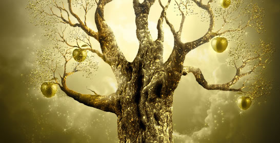 Photoshop Tutorials