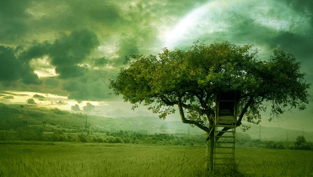 50 Gorgeous Wallpapers to Spice Up Your Desktop