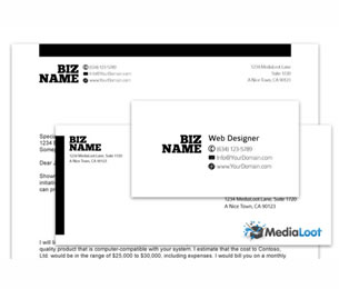 MediaLoot Screenshot