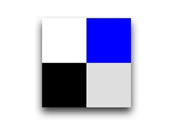 Windows Mobile Social Network Apps