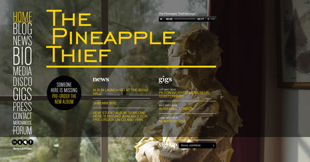 The Pineapple Thief