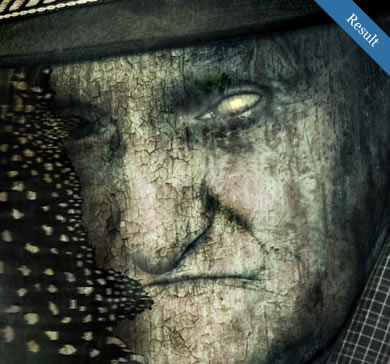 Decomposing a Face