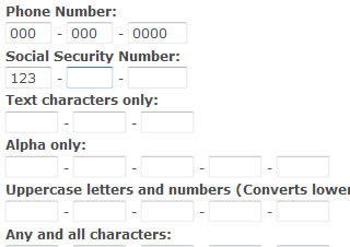 Autotab: jQuery Auto-Tabbing and Filtering - jQuery Form Plugin