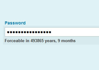 Password Strength – Estimates brute force time - jQuery Form Plugin