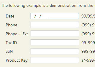 Masked Input Plugin - jQuery Form Plugin