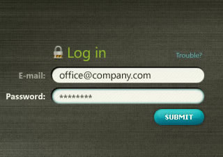 Niceforms - jQuery Form Plugin