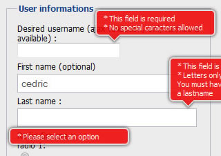 A jQuery inline form validation, because validation is a mess - jQuery Form Plugin