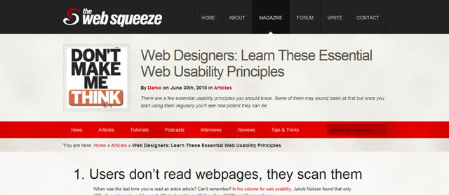 Web Designers: Learn These Essential Web Usability Principles
