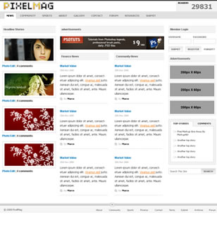 Professional Magazine Web Layout