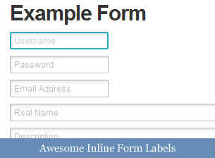 Awesome Inline Form Labels