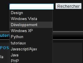 Create an Ajax-based Auto-completing Search Field for WordPress