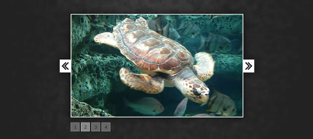 Fading JavaScript Slideshow – TinyFader