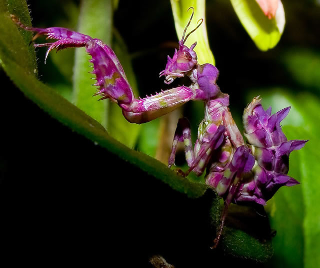 National Geographic's Photography Contest 2010 (40+ Hi-Res Images)