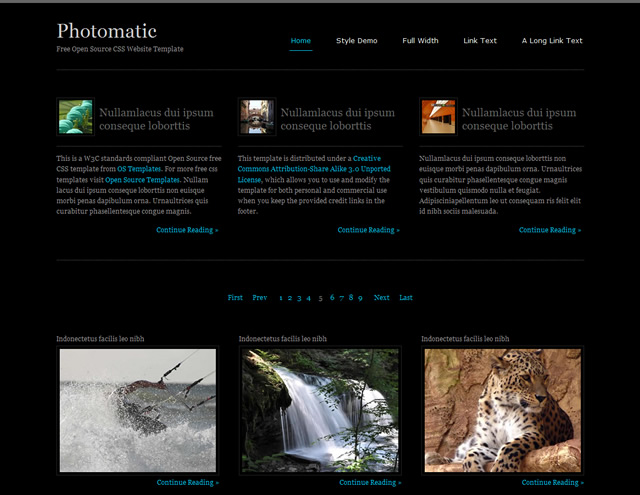Photomatic CSS Template
