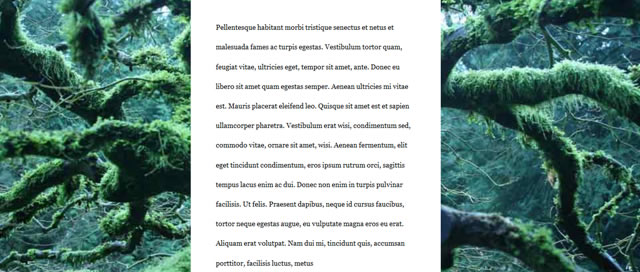 Perfect Full Page Background Image