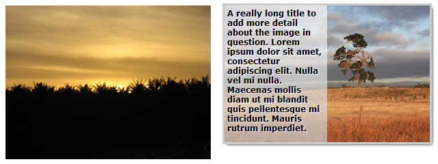 Snazzy Hover Effects Using CSS